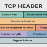 tcp-header-bitsfotify