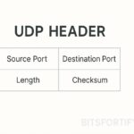 Udp-header-bitsfortify