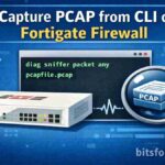 fortigate_pcap_bitsfortify.com